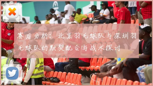 赛后分析：北京羽毛球队与深圳羽毛球队的默契配合与战术探讨