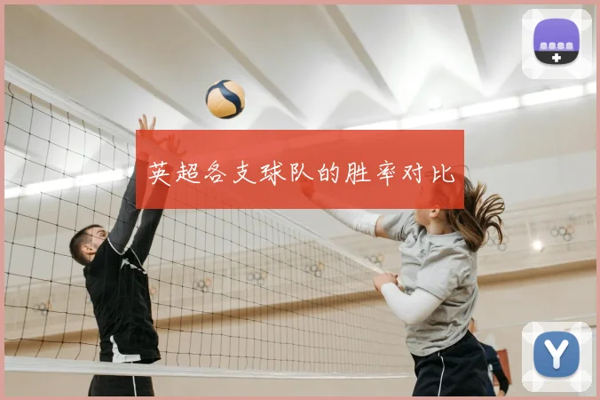 英超各支球队的胜率对比
