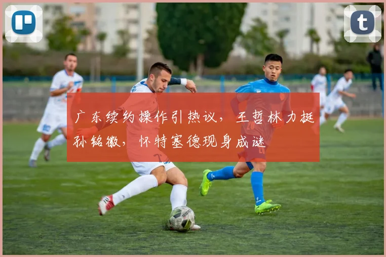 广东续约操作引热议，王哲林力挺孙铭徽，怀特塞德现身成谜