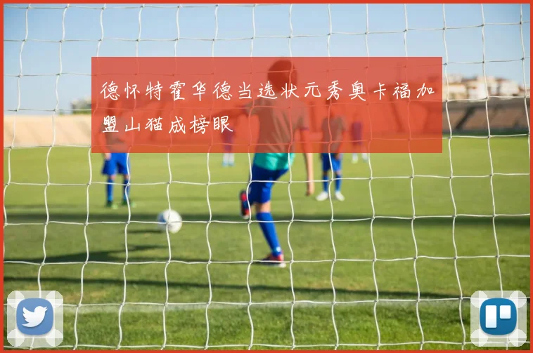 德怀特霍华德当选状元秀奥卡福加盟山猫成榜眼