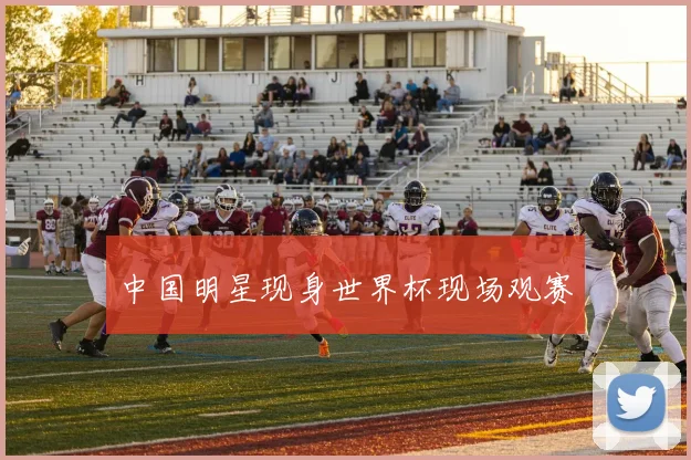 中国明星现身世界杯现场观赛
