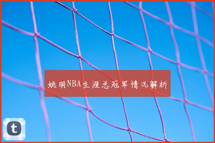 姚明NBA生涯总冠军情况解析