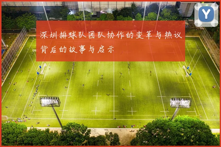 深圳排球队团队协作的变革与热议背后的故事与启示