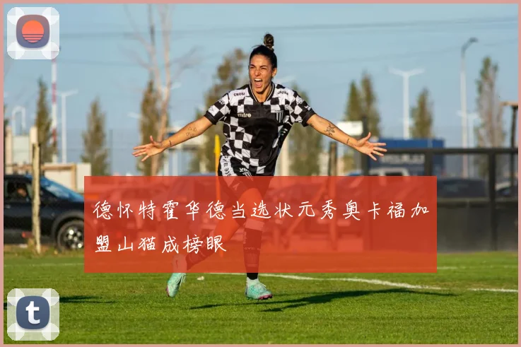 德怀特霍华德当选状元秀奥卡福加盟山猫成榜眼