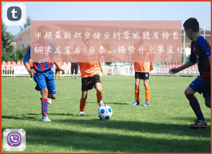 中超最新积分榜分析蓉城稳居榜首铜梁龙落后9分泰山强势升至第五位津门虎积分清零
