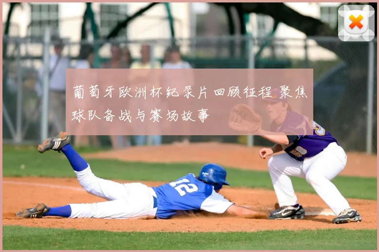 葡萄牙欧洲杯纪录片回顾征程 聚焦球队备战与赛场故事