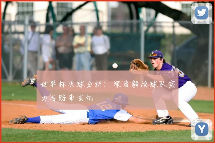 世界杯买球分析：深度解读球队实力与赔率玄机