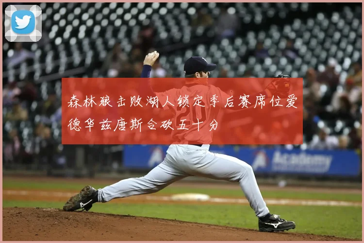森林狼击败湖人锁定季后赛席位爱德华兹唐斯合砍五十分