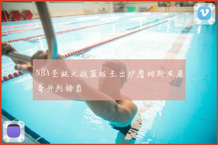 NBA圣诞大战篮板王出炉詹姆斯浓眉哥并列榜首