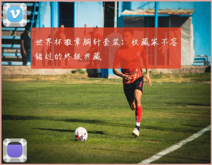 世界杯徽章胸针套装：收藏家不容错过的终极典藏