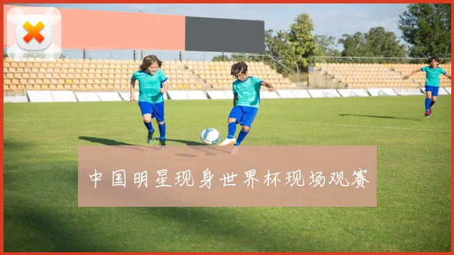 中国明星现身世界杯现场观赛