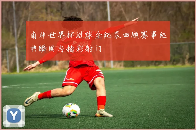 南非世界杯进球全纪录回顾赛事经典瞬间与精彩射门
