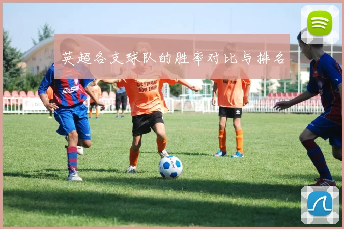 英超各支球队的胜率对比与排名